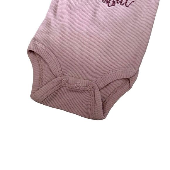 Chick Pea Pink Ribbed Infant Baby Onsie Fall Thankful Graphics Size 0-3 Months - Picture 3 of 6